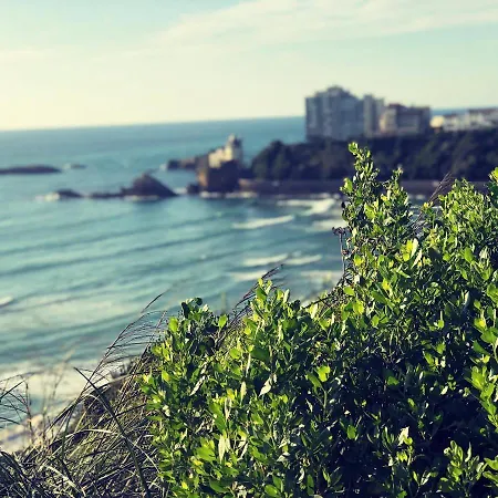 Дом отдыха Bella A 250m Des Plages Биарриц