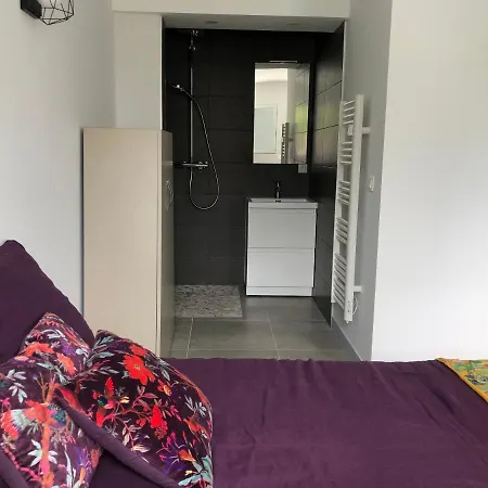 Dom wakacyjny Bella A 250m Des Plages Biarritz